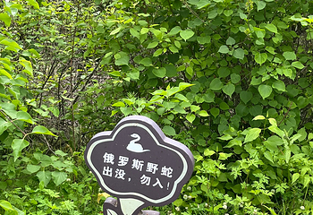 绥芬河国门景区第 40 张图片