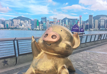 星光大道第 36 张图片