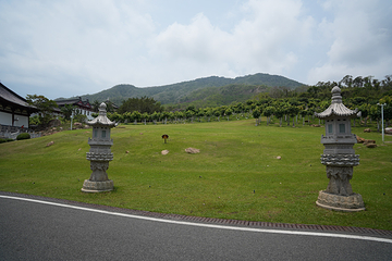 三亚南山文化旅游区第 128 张图片