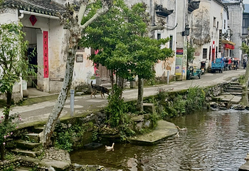 芹川古村第 41 张图片