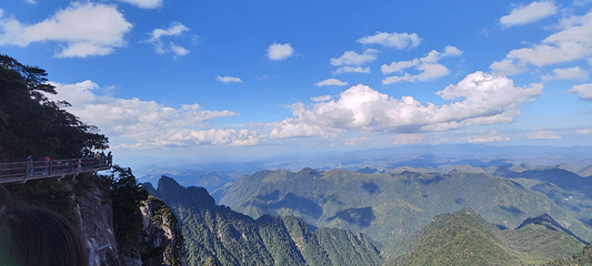 莽山旅游区国家森林公园第 30 张图片