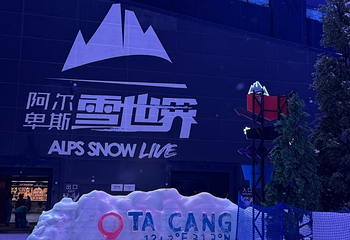 阿尔卑斯雪世界第 321 张图片