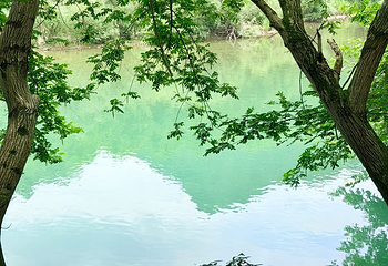 楠溪江风景旅游区第 34 张图片
