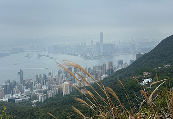 太平山顶第 276 张图片