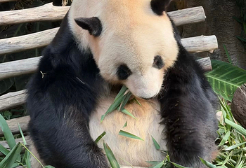 红山森林动物园第 183 张图片