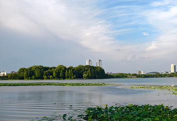 玄武湖景区第 178 张图片