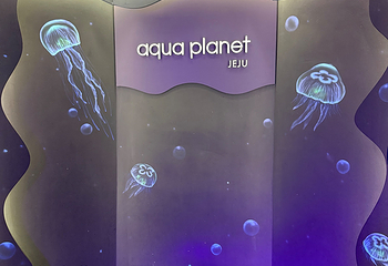 济州岛Aqua Planet水族馆第 60 张图片
