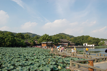 西湖风景名胜区第 104 张图片