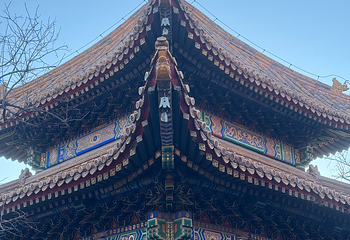 雍和宫第 154 张图片