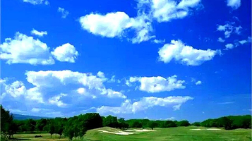 呼伦贝尔草甸草原