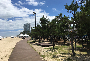 镜浦台海水浴场第 9 张图片