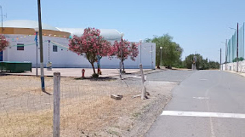 Skate Park Alfundão