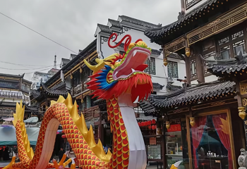 大观园(经四路店)第 12 张图片