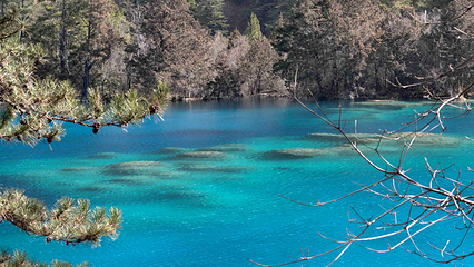 九寨沟风景区第 255 张图片