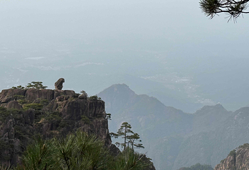 黄山风景区第 222 张图片