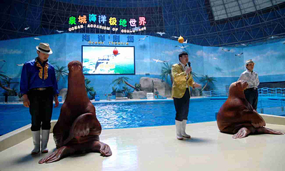 蓬莱欧乐堡海洋极地世界第 26 张图片