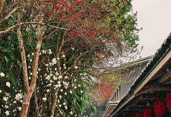 云水谣景区第 68 张图片