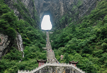 天门山国家森林公园第 229 张图片