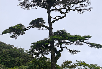 桂林猫儿山第 74 张图片