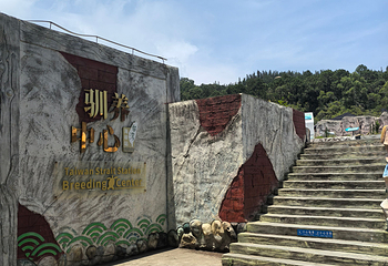 海龟湾第 34 张图片