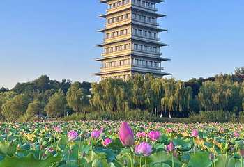 西安世博园第 52 张图片