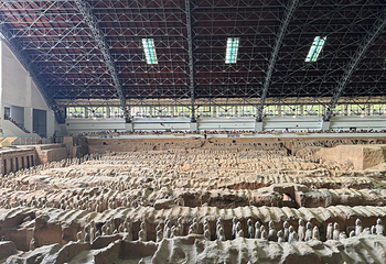 秦始皇帝陵博物院(兵马俑)第 542 张图片