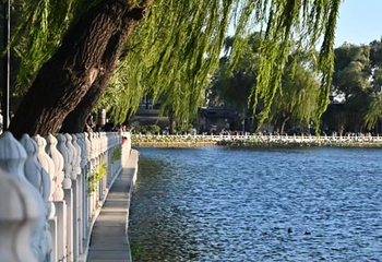 什刹海风景区第 252 张图片