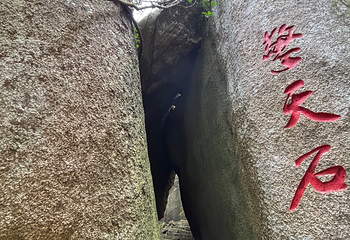 亚龙湾热带天堂森林公园第 265 张图片