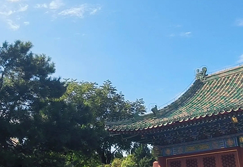 日坛公园第 95 张图片
