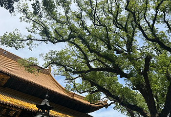 普陀山风景区第 309 张图片