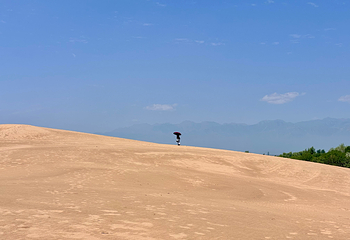 沙湖生态旅游区第 91 张图片