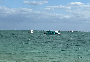 新原海滩第 15 张图片