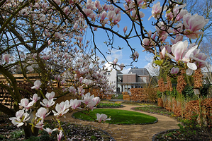 Vincent van Gogh Huis