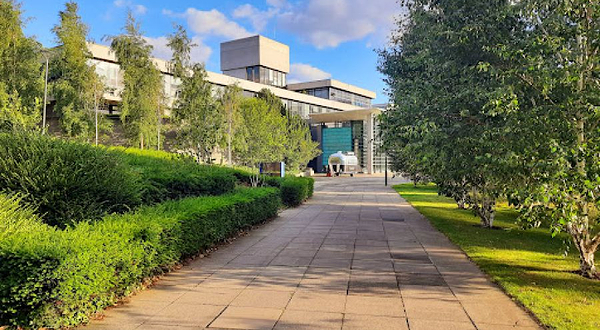 都柏林大学学院