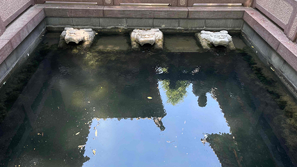 趵突泉景区第 299 张图片