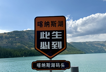 喀纳斯景区第 309 张图片