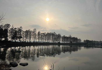 东湖生态旅游风景区第 26 张图片