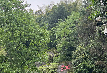 江郎山风景名胜区第 124 张图片