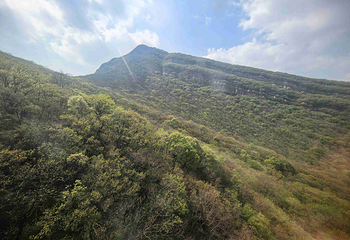 嵩山少林景区第 127 张图片