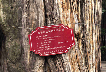 尧庙第 38 张图片