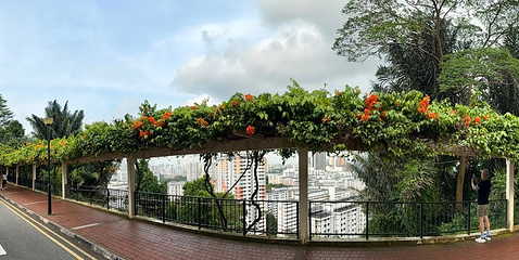 花柏山公园第 102 张图片