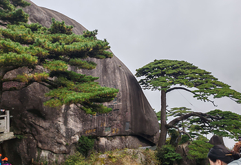 黄山风景区第 227 张图片