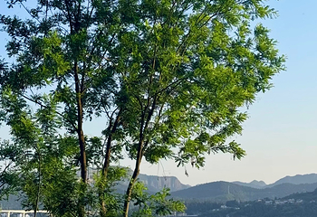 滨江公园第 75 张图片