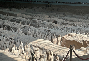 秦始皇帝陵博物院(兵马俑)第 531 张图片