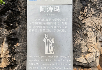 石林风景区第 257 张图片