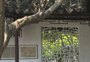 怡园第 46 张图片