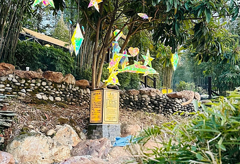 崇阳浪口森林温泉第 20 张图片
