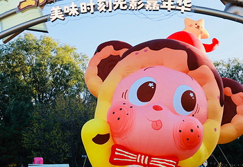 朝阳公园第 32 张图片