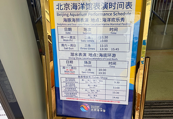 北京海洋馆第 112 张图片