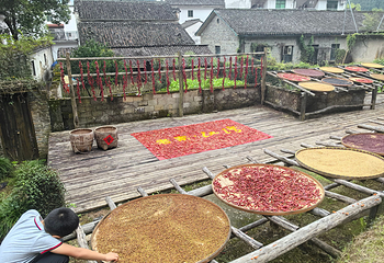 婺源篁岭景区第 250 张图片